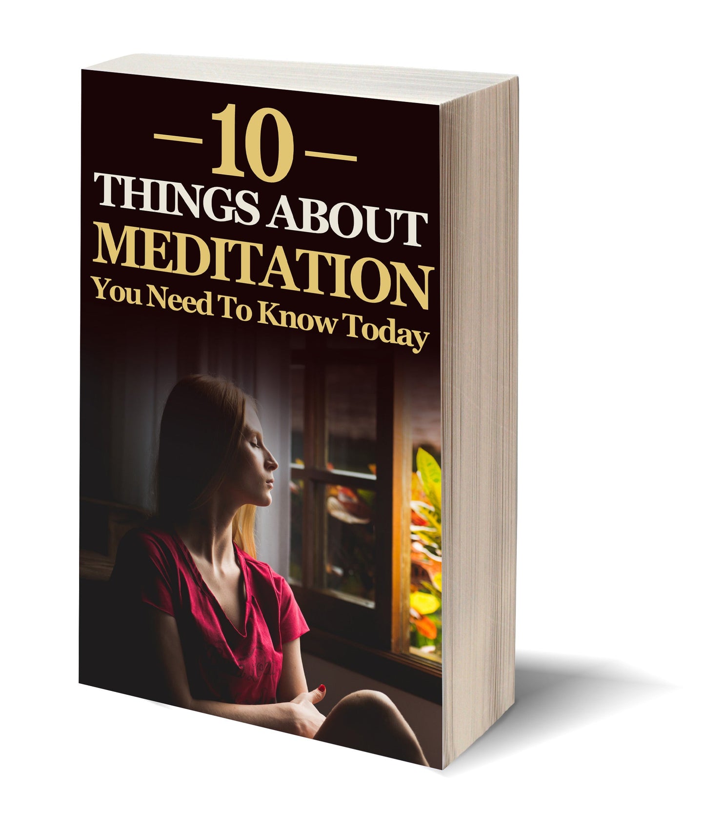 10 Things About Meditation You Need To Know Today eBook