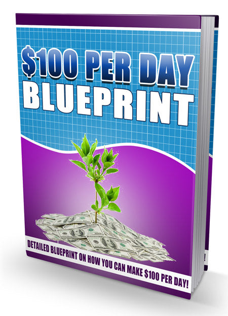 $100 Per Day Blueprint eBook