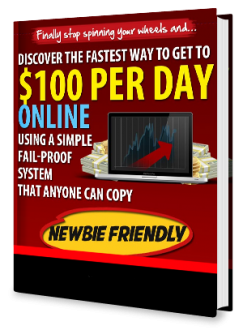 $100 Per Day Online eBook
