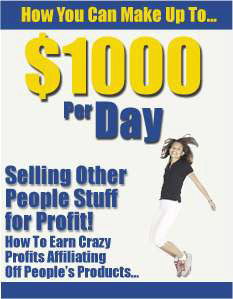 $1,000 A Day For Selling Other Peoples Stuff for Profit eBook
