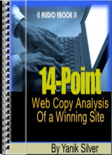 14 Point Web Copy Analysis eBook