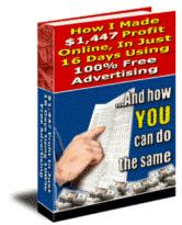 $1,447 Profit Online In Just 16 Days eBook