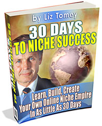 30 Days To Niche Success eBook