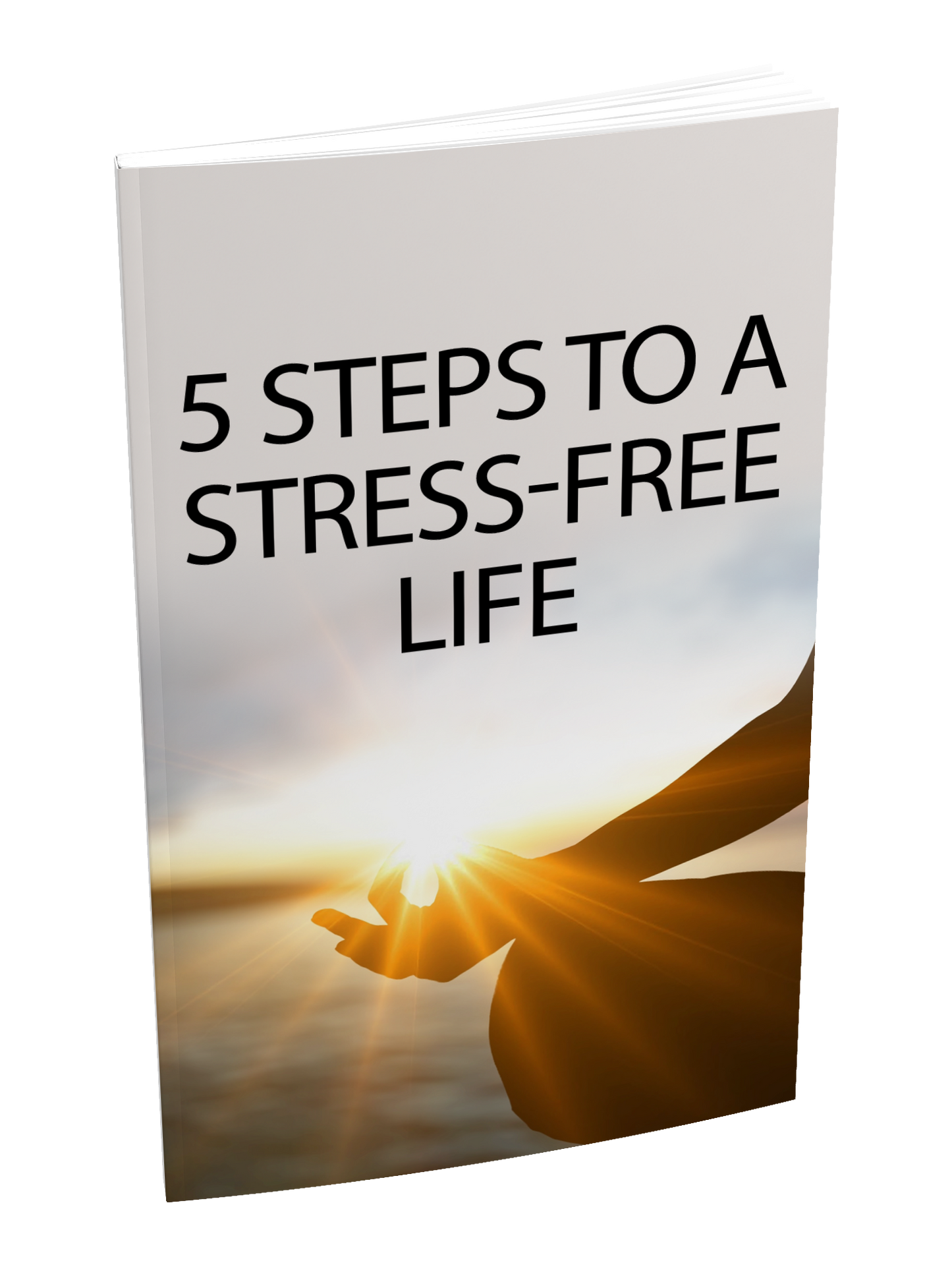 5 Steps To A Stress Free Life eBook