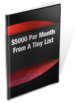 $5,000 Per Month From A Tiny List eBook