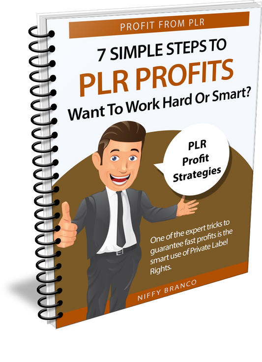 7 Simple Steps To PLR Profits Want Work Hard Or Smart eBook