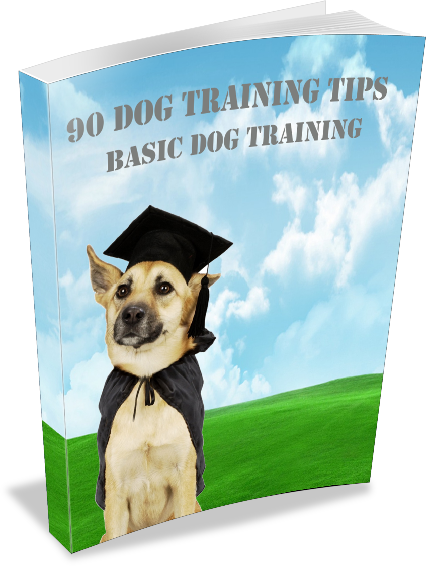 90 Dog Training Tips eBook