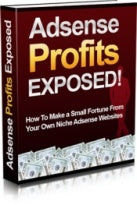 Adsense Profits Exposed eBook