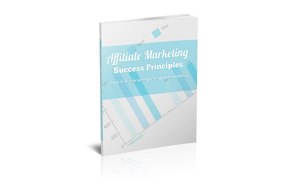 Affiliate Marketing Success Principles eBook