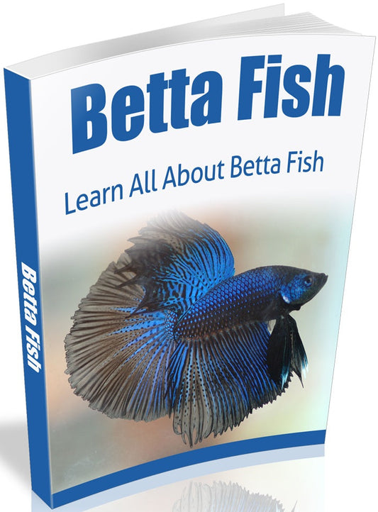 Betta Fish eBook