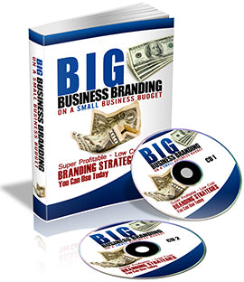 Big Business Branding On A Small Business Budget eBook