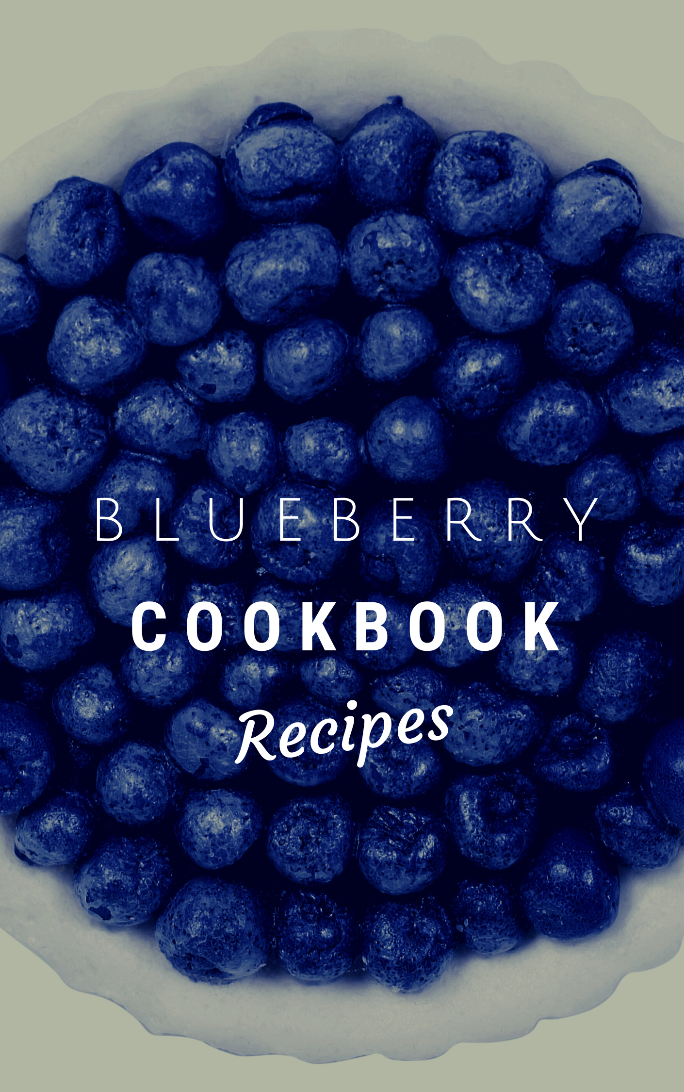 Blueberry Cookbook eBook