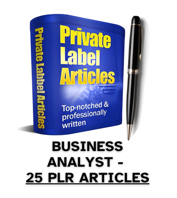 Business Analyst PLR Article Pack - 25 PLR Articles