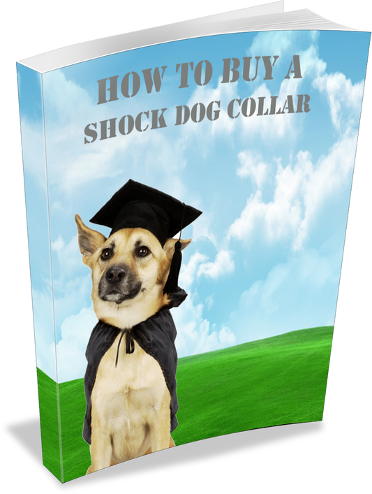 How To Buy A Shock Collar eBook