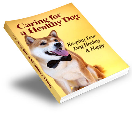 Caring For A Healthy Dog eBook