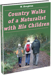 Country Walks Of A Naturalist With His Children eBook