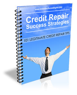 Credit Repair Success Strategies eBook