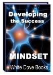 Developing the Success Mindset eBook