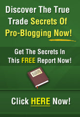 Discover The True Trade Secrets Of Pro Blogging eBook