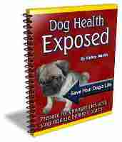 Dog Health Exposed eBook