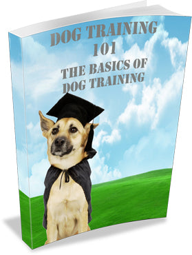 Dog Training 101 eBook