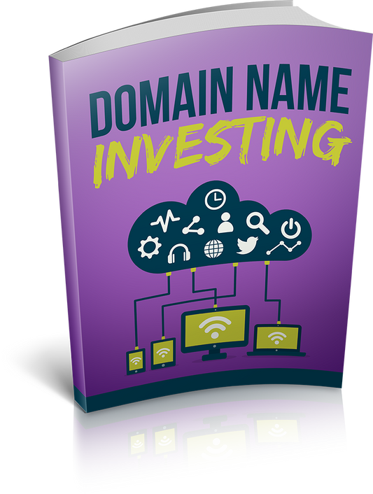 Domain Name Investing eBook