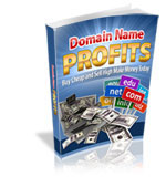 Domain Name Profits eBook