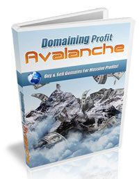 Domaining Profits Avalanche eBook