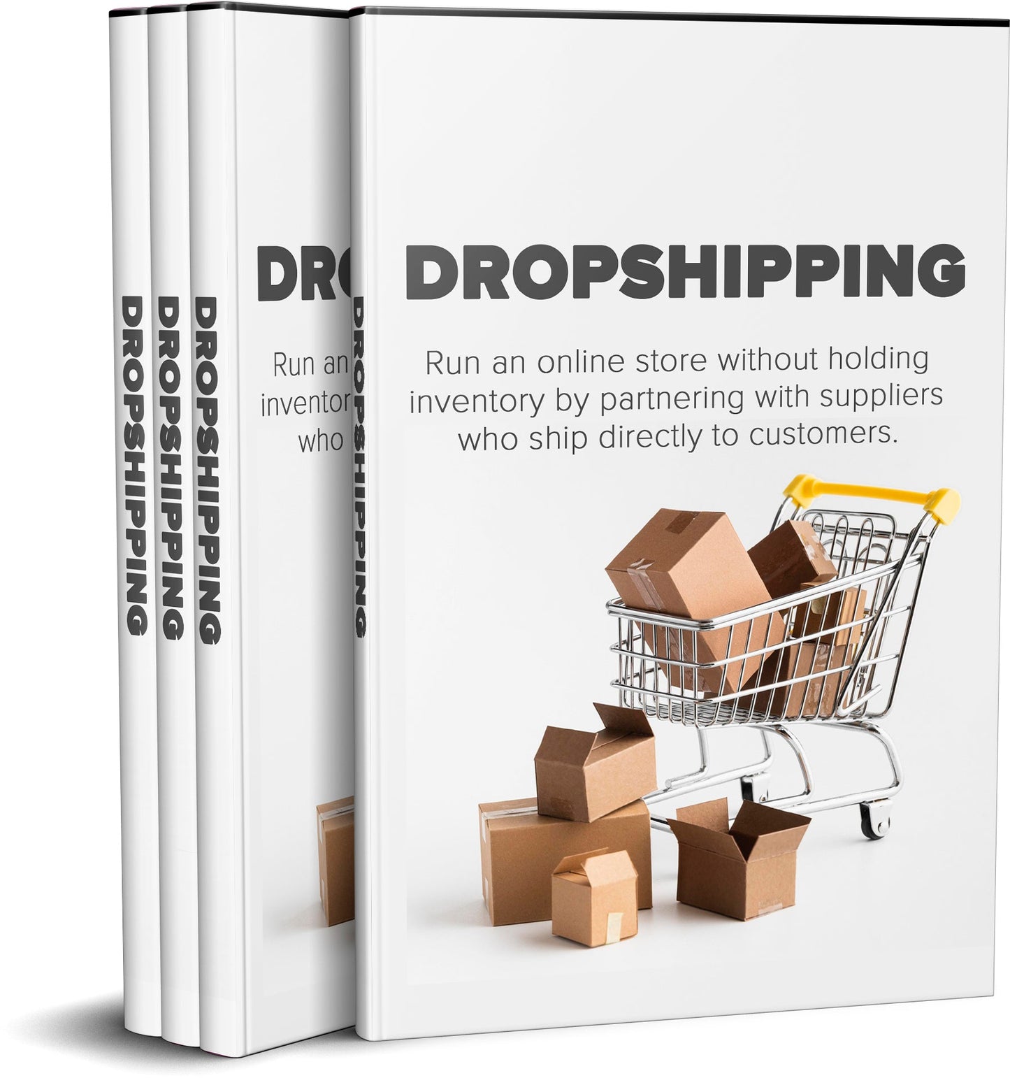 Dropshipping eBook
