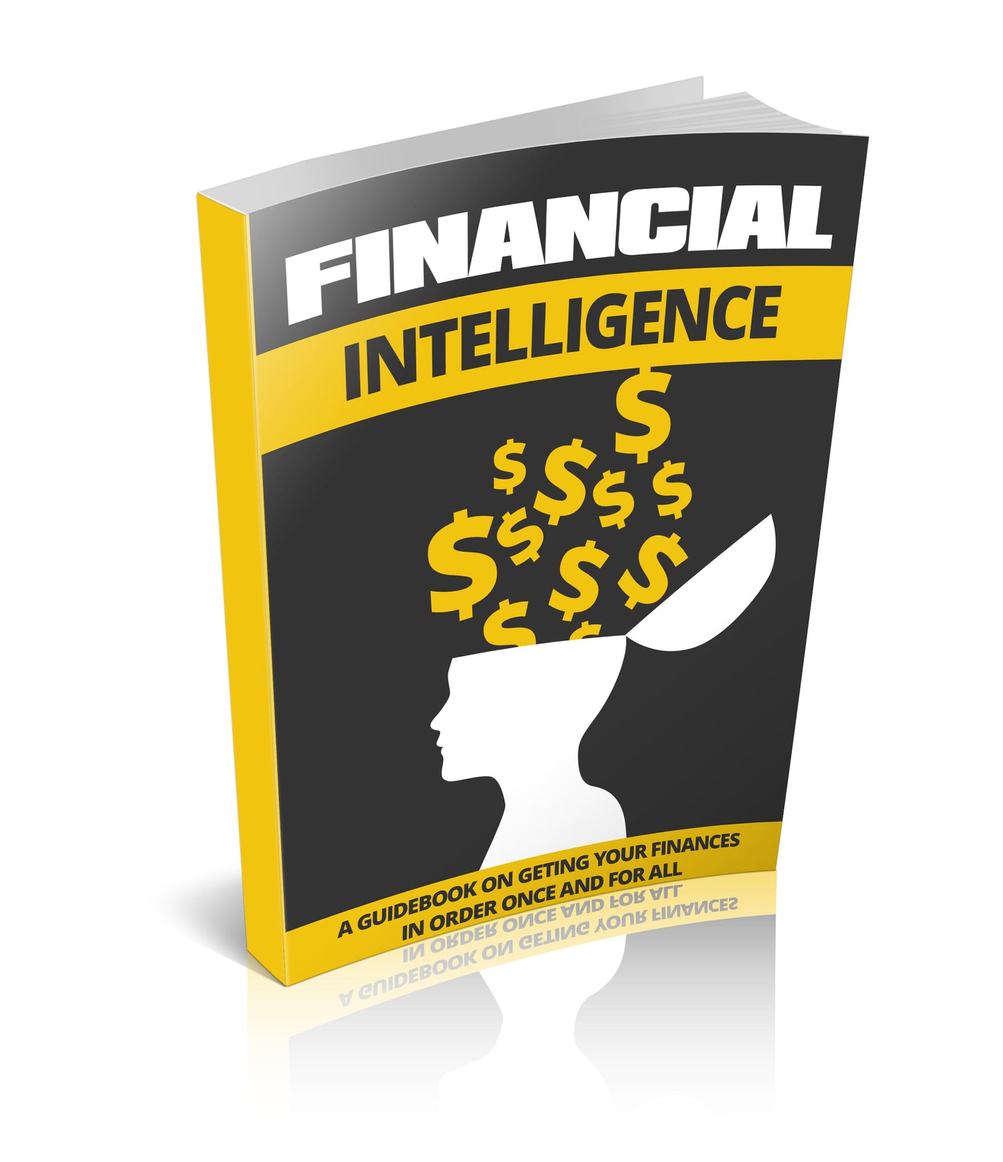 Financial Intelligence eBook
