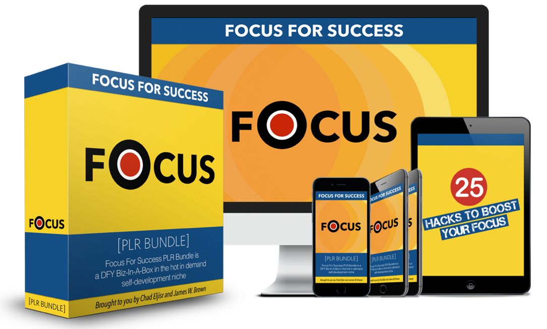Focus For Success eBook