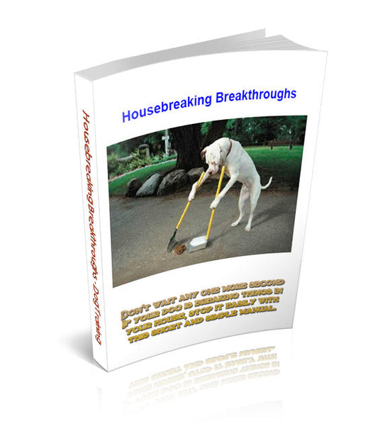 House Breaking Breakthroughs eBook