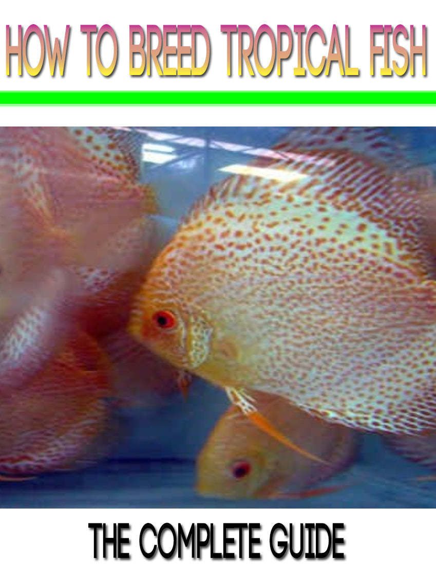 How To Breed Tropical Fish eBook