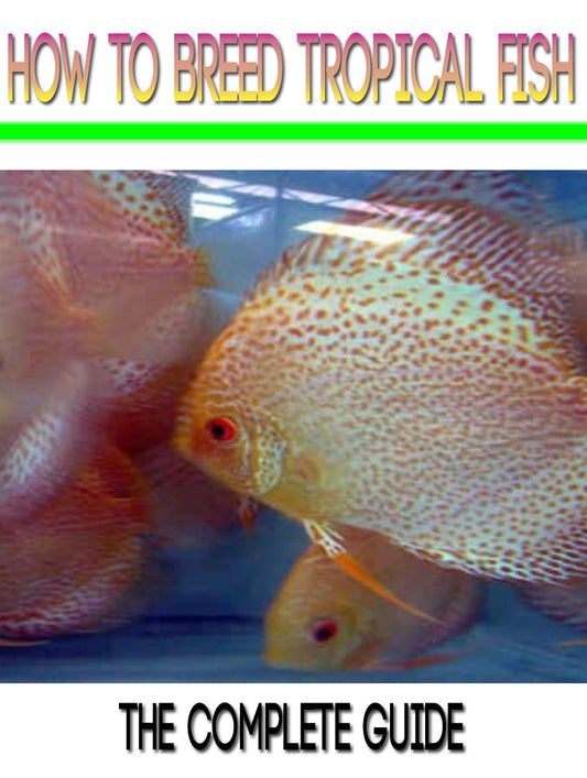 How To Breed Tropical Fish eBook