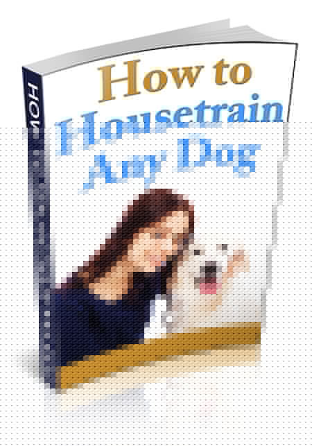How To Housetrain Any Dog eBook