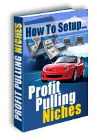 How To Setup Profit Pulling Niches eBook