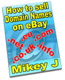 How to Sell Domain Names On eBay eBook