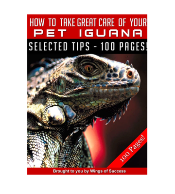 How to Take Great Care of Your Pet Iguana eBook