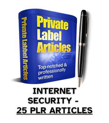 Internet Security PLR Article Pack - 25 PLR Articles