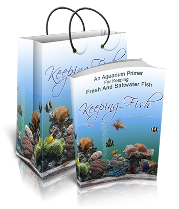 Keeping Fish eBook
