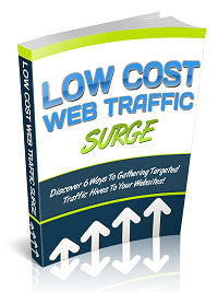 Low Cost Web Traffic eBook