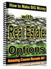 Make Big Money with Real Estate Options eBook