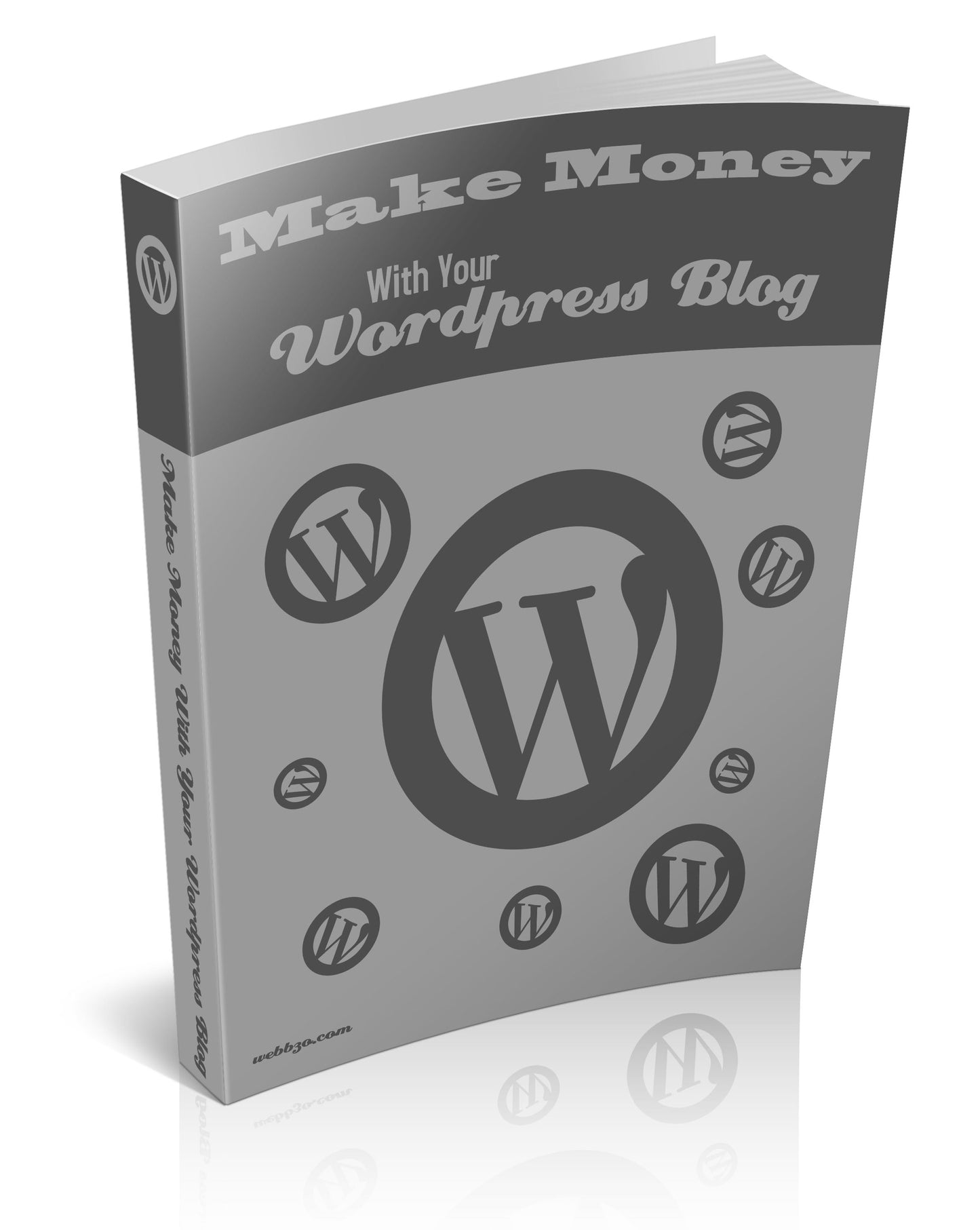 Make Money With Your Wordpress Blog eBook