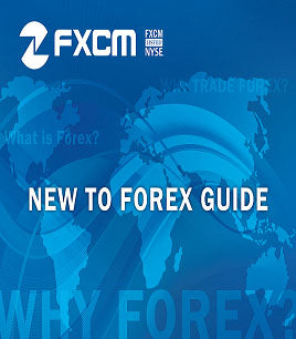 New To Forex Guide eBook