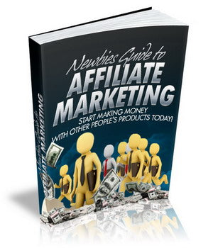 Newbies Guide To Affiliate Marketing eBook