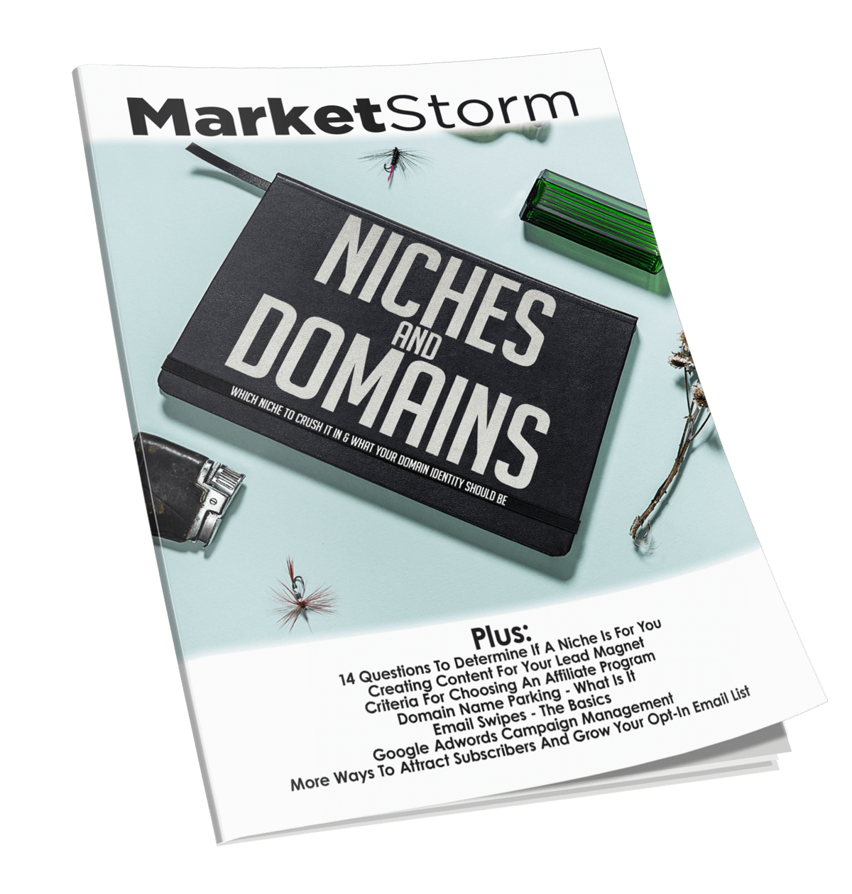 Niches And Domains eBook