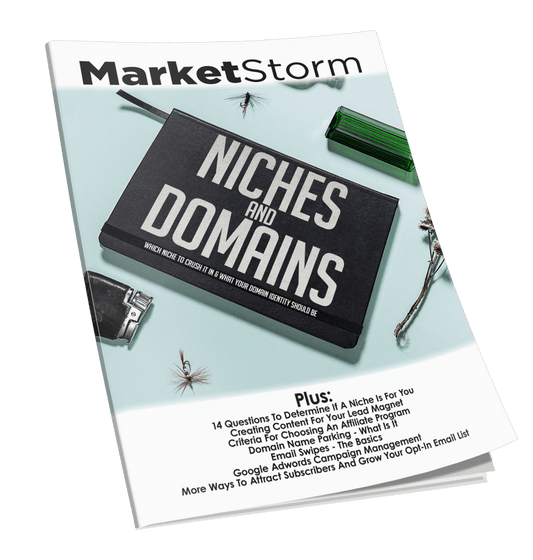 Niches And Domains eBook
