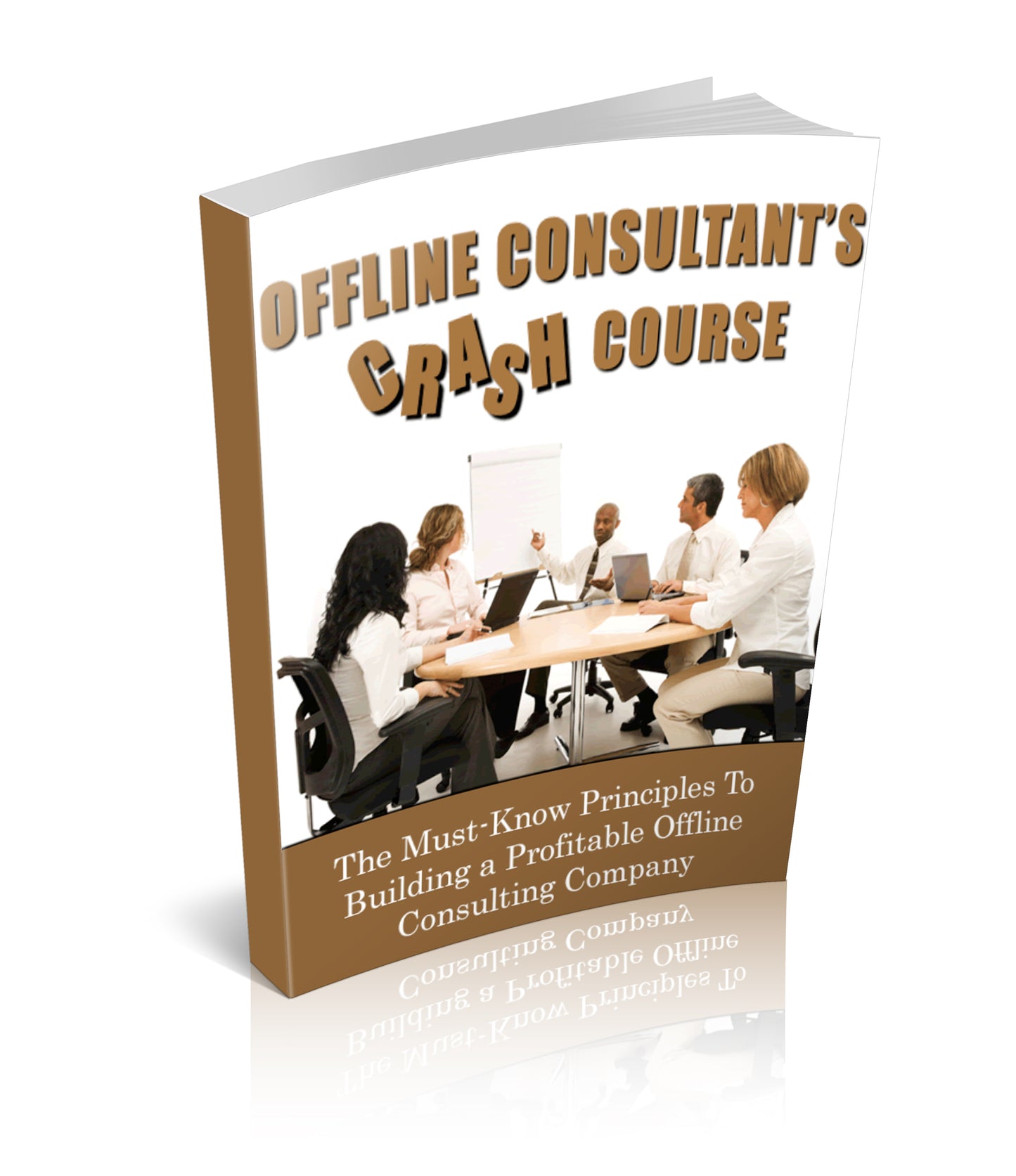 Offline Consultants Crash Course eBook