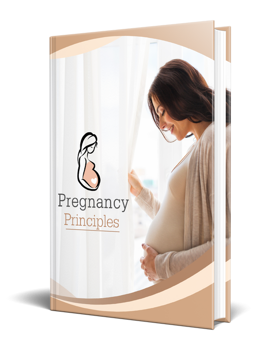 Pregnancy Principles eBook