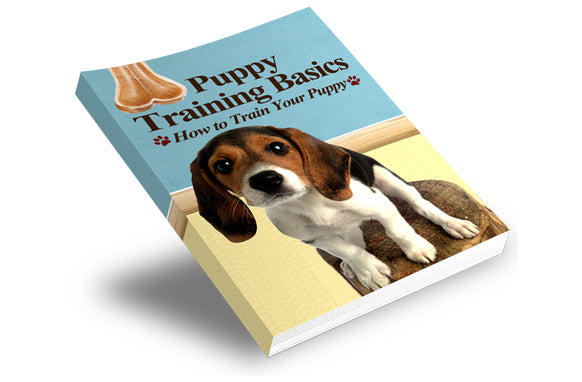 Puppy Training Basics eBook